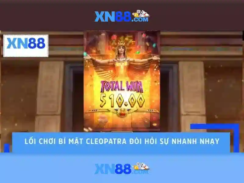 Giới thiệu về xn88