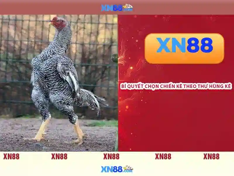 Dịch vụ nổi bật