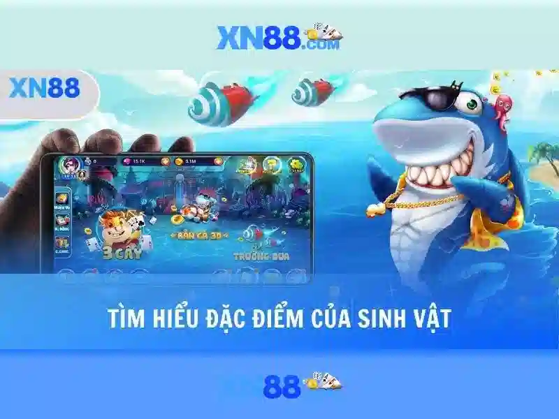 Lịch sử phát triển của xn88