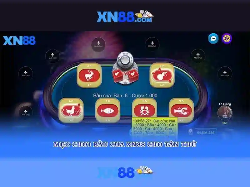 Lịch sử và nguồn gốc