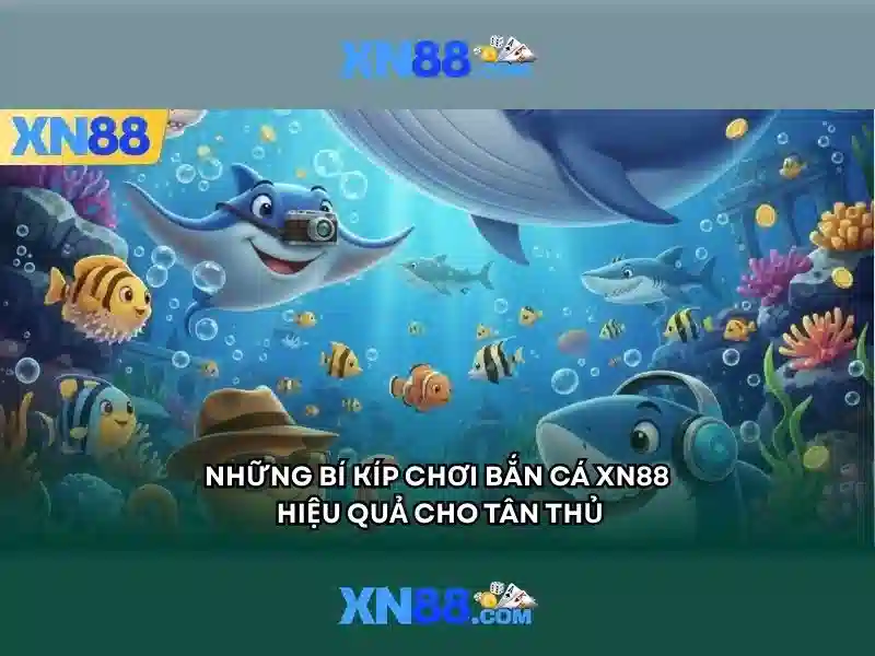 Khuyến mãi và chơi có trách nhiệm