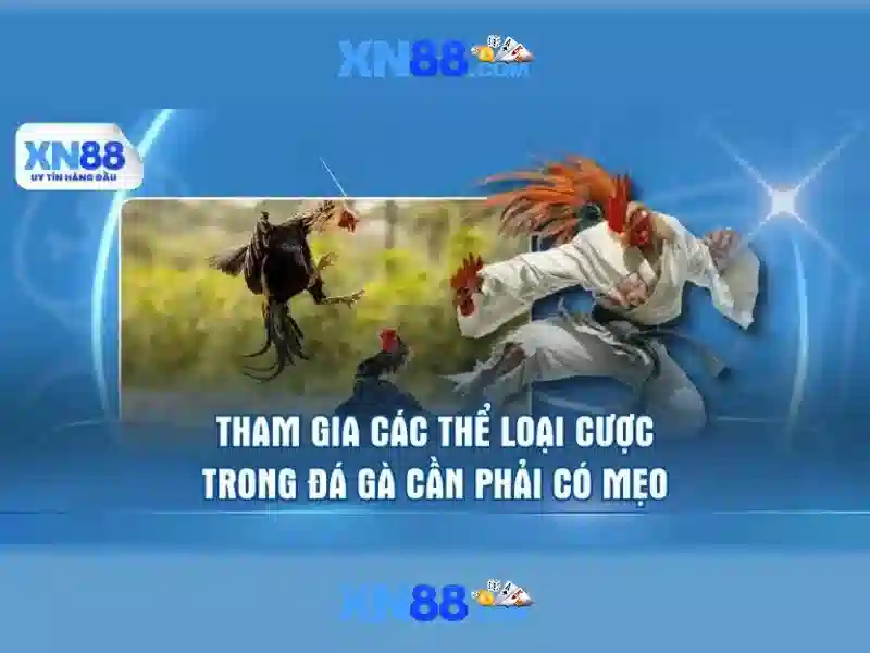 Minh_hoa_xn88_da_ga