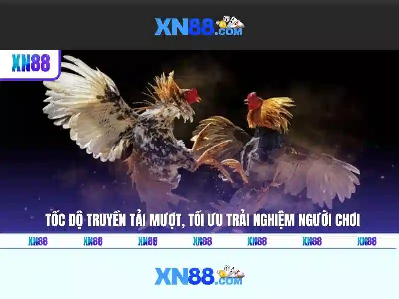 Các tính năng nổi bật của xn88