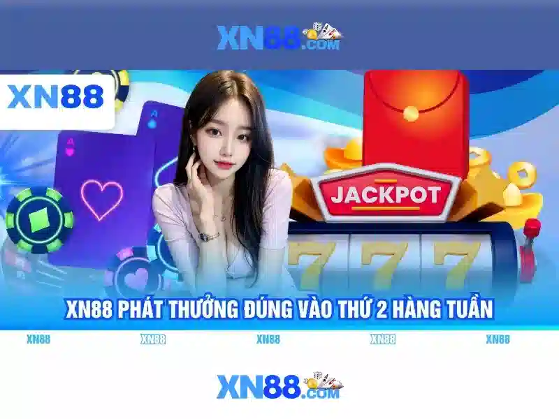 Giới thiệu về xn88