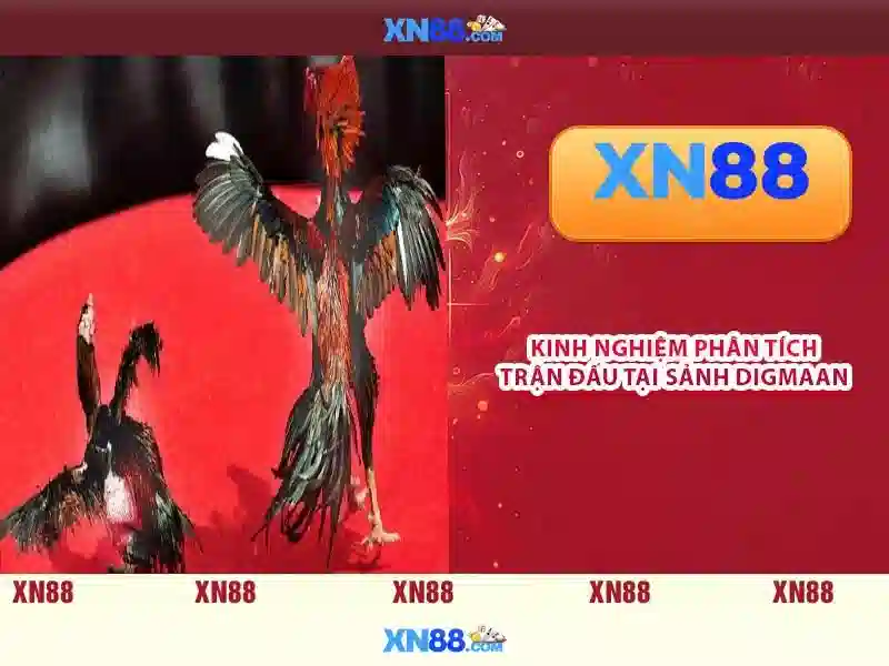 Các tính năng nổi bật và lợi ích