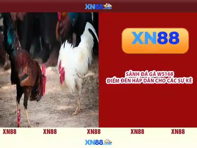 Lịch sử và nguồn gốc