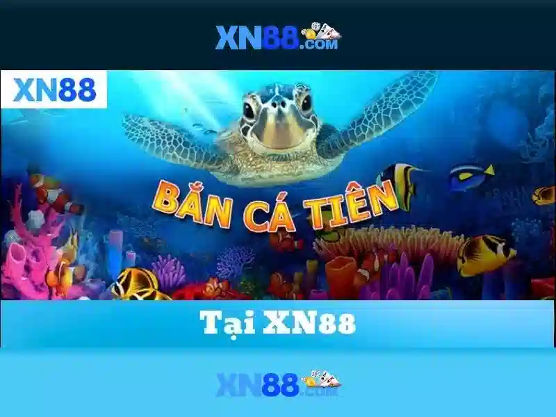 An toàn và pháp lý khi chơi trên xn88