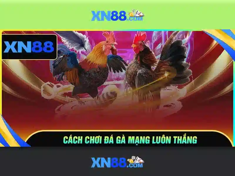 Khuyến mãi và chương trình thưởng