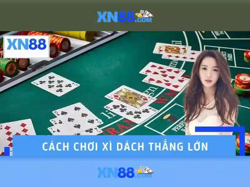 Giới thiệu về xn88