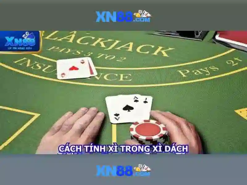 Giới thiệu về xn88