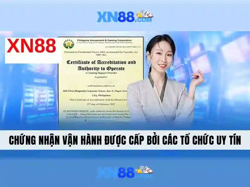 Hỗ trợ người dùng và cộng đồng