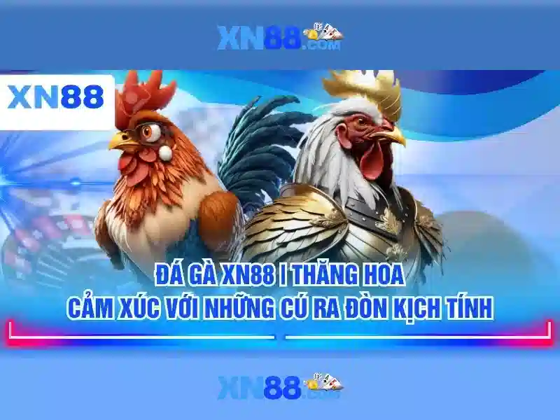 An toàn, thanh toán và bảo mật