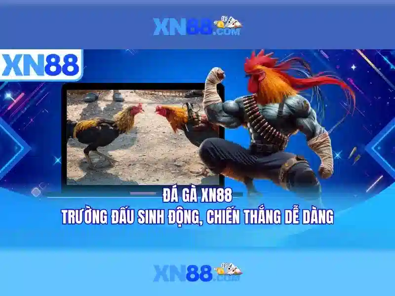 Chức năng và trải nghiệm người dùng