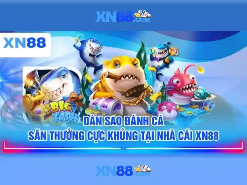 Giao diện và trải nghiệm người dùng