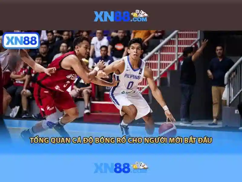 Giao diện người dùng và trải nghiệm