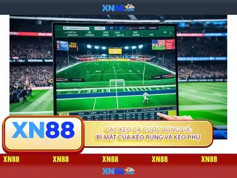 Tại sao nên chọn XN88?