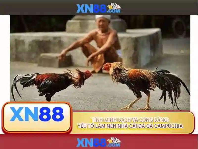 Thành phần và trò chơi
