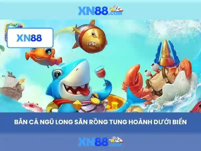 Nền tảng và sản phẩm