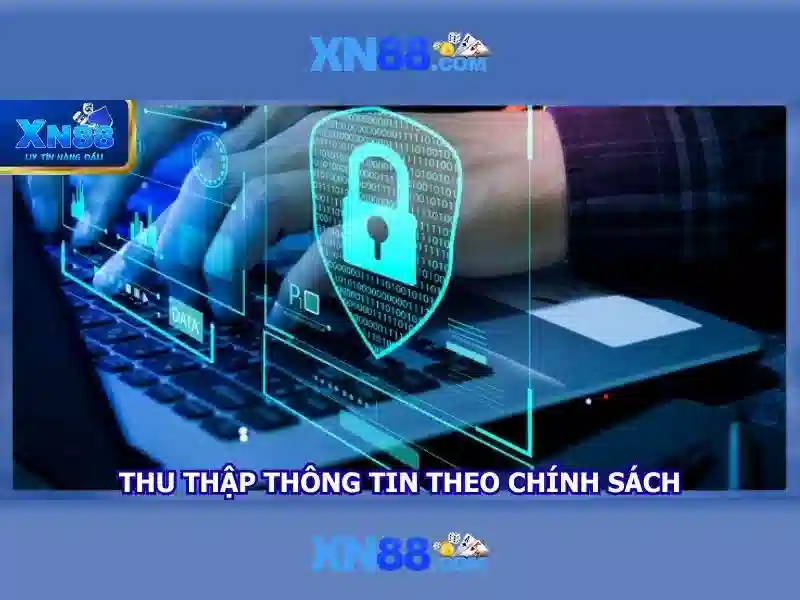 Các trò chơi và trải nghiệm