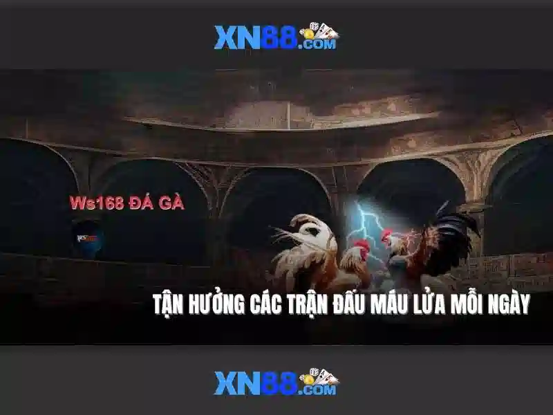 Nền tảng và công nghệ
