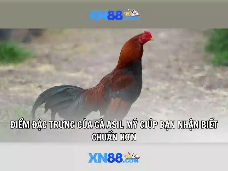 An toàn và trách nhiệm người dùng khi tham gia