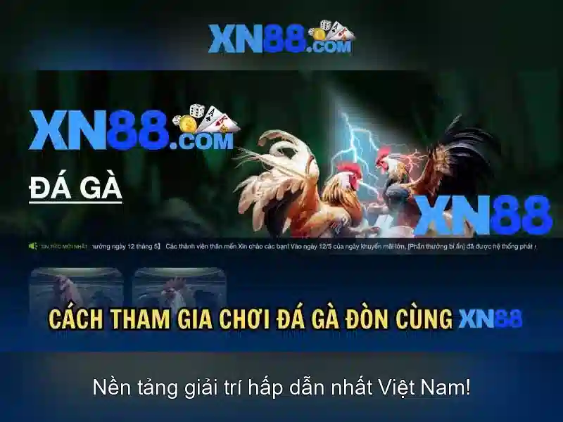 Khuyến nghị và lưu ý người chơi