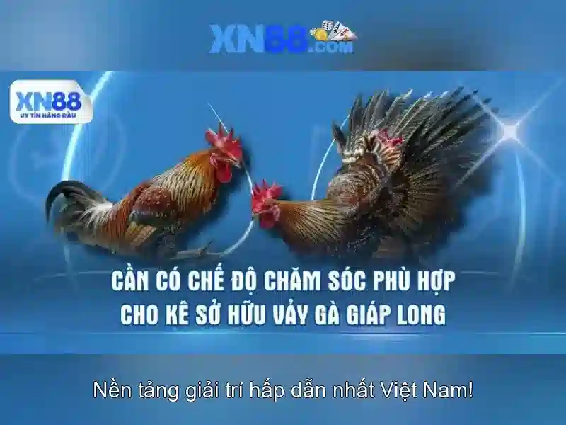 Nền tảng chơi game và cá cược trực tuyến