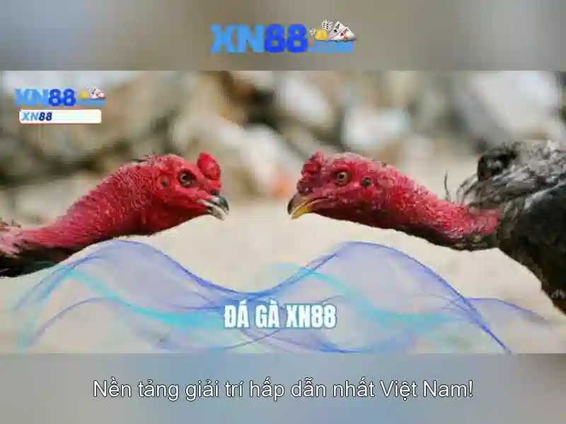 Các thể loại trò chơi