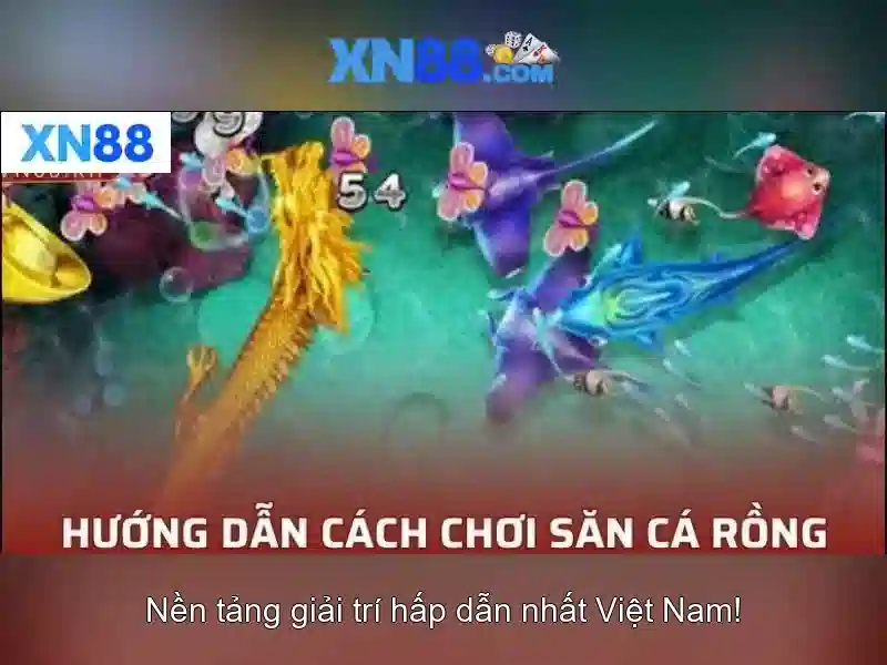 Lịch sử và nguồn gốc của XN88