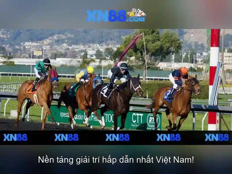 Lợi ích và rủi ro của XN88