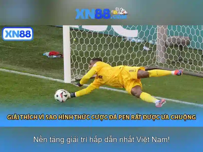 An toàn và quản lý rủi ro