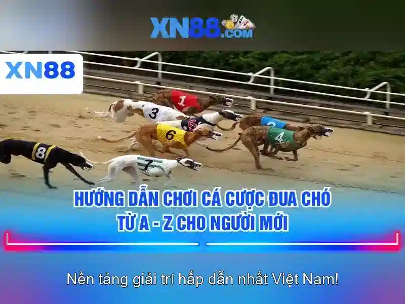 cau lo mien phi mb - xin số đề hôm nay mien phi - cau lo mien phi mb - xin số đề hôm nay mien phi