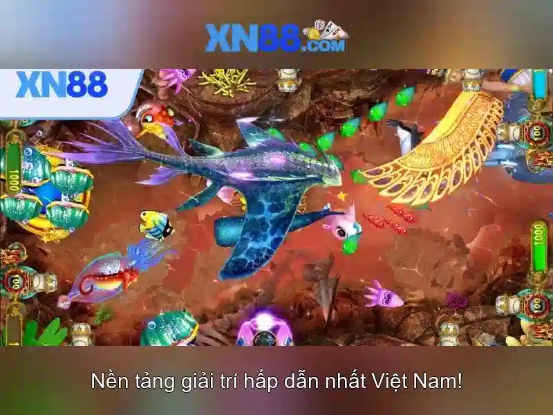 Lịch sử của xn88