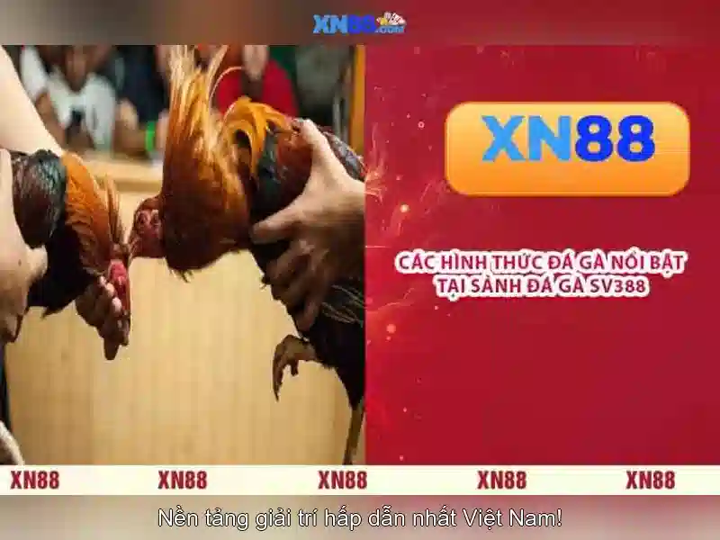 An toàn và trách nhiệm khi tham gia