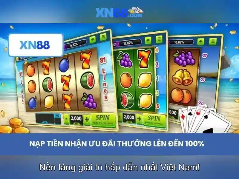 Khuyến mãi và đánh giá của cộng đồng