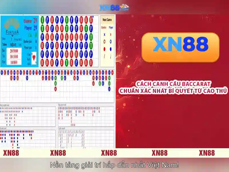 Định nghĩa xn88