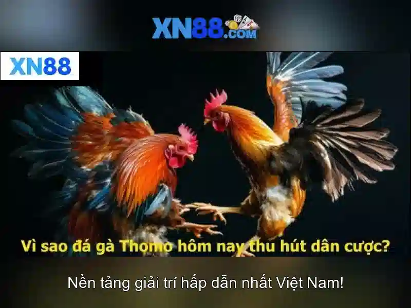 Biến thể và ứng dụng của xn88