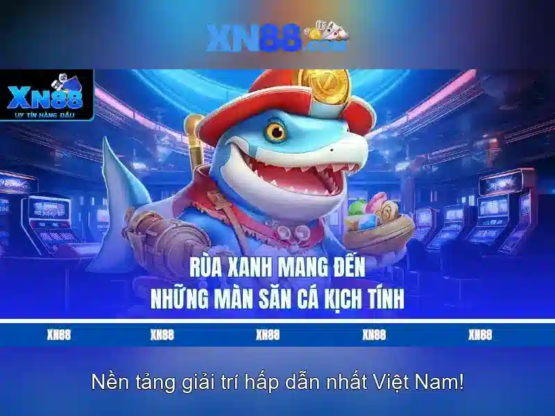 Cách tham gia và lưu ý pháp lý