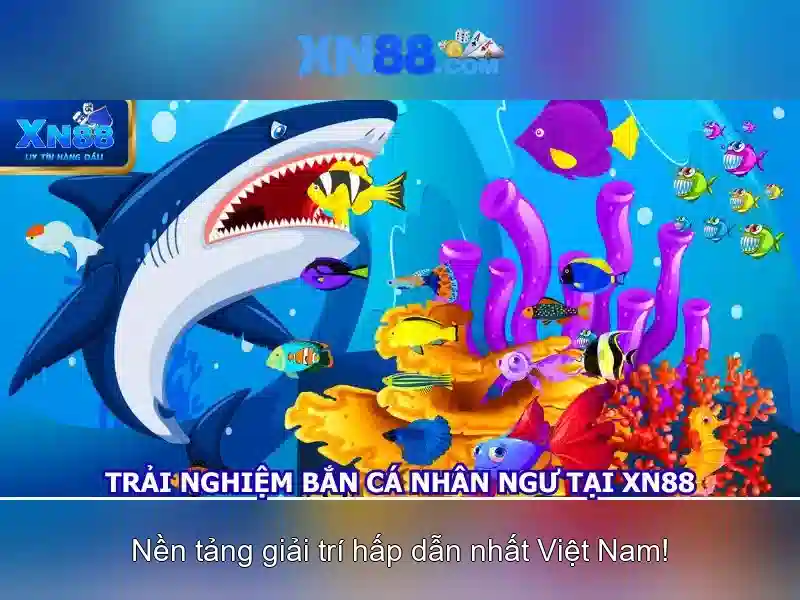 Giới thiệu về xn88