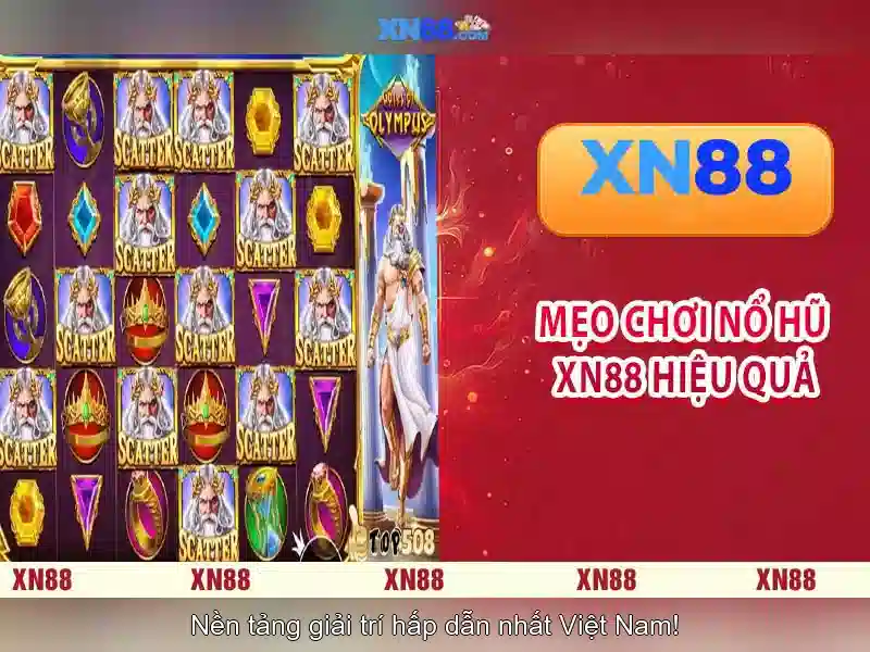 Lịch sử và mục tiêu