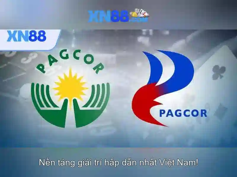 Kiến thức căn bản về xn88: Cổng cược trực tuyến