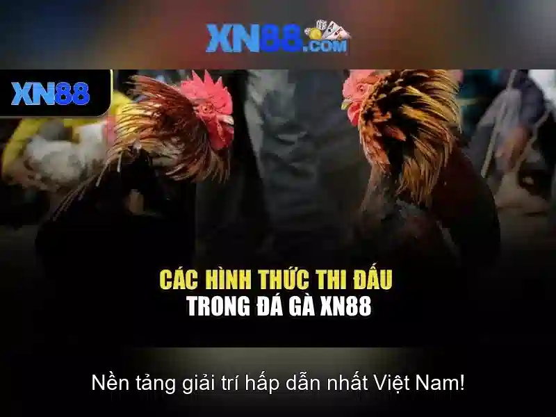 Cách tham gia xn88