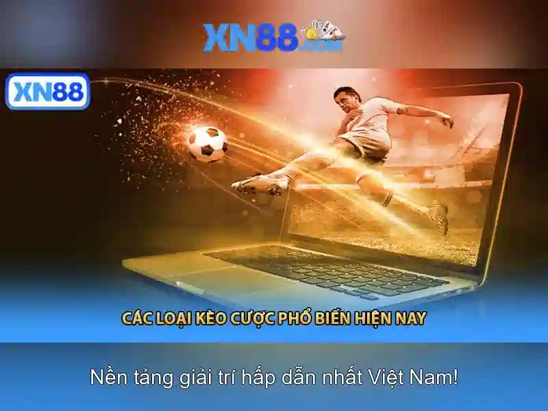 Giới thiệu về xn88