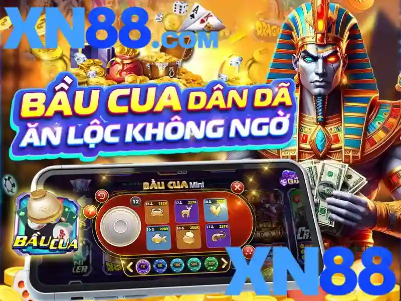An toàn và trách nhiệm khi tham gia